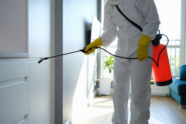 Best Mold Removal for HVAC Installations  in Sibley, IA